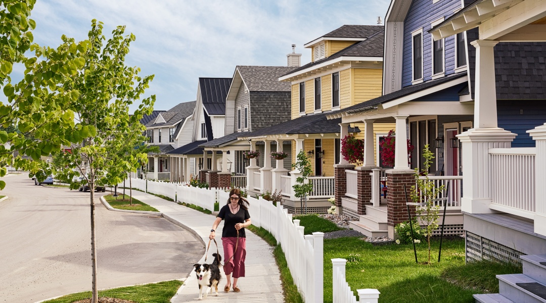 Lady Walking Dog Streetscape